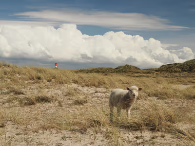 Sylt 2026